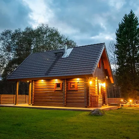 Jaeaegri Saunamaja Дом отдыха