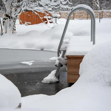 Jaeaegri Saunamaja Ferienhaus