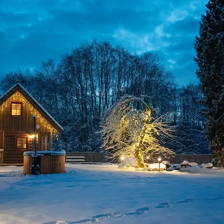 Ferienhaus Jaeaegri Saunamaja Parksi