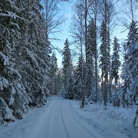 Ferienhaus Jaeaegri Saunamaja *
