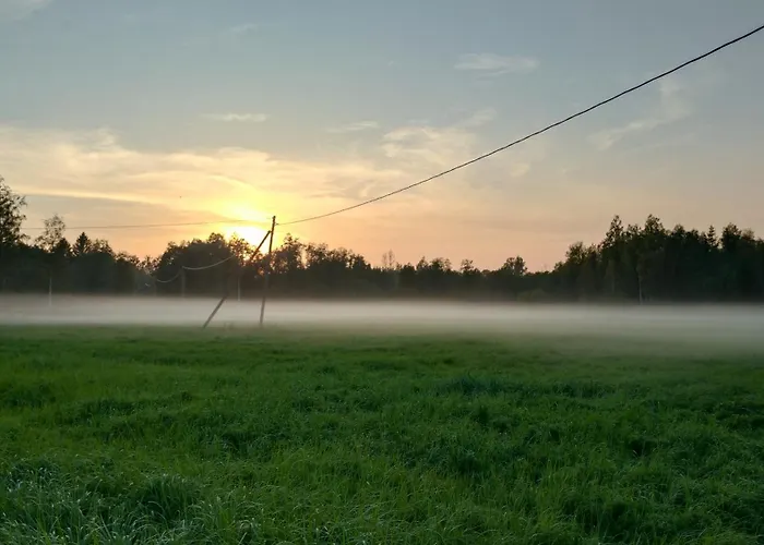 Jaeaegri Saunamaja Holiday home *