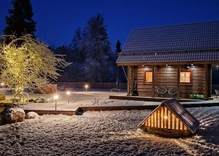 Jaeaegri Saunamaja Holiday home