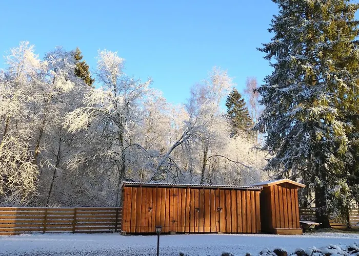 Jaeaegri Saunamaja Holiday home Parksi