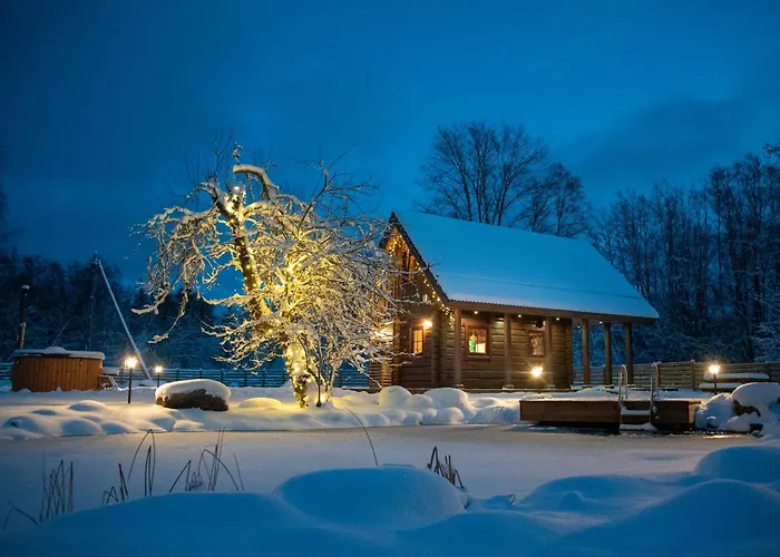 Jaeaegri Saunamaja Holiday home *