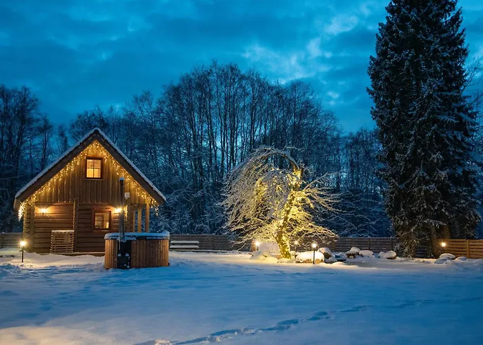 Holiday home Jaeaegri Saunamaja Parksi