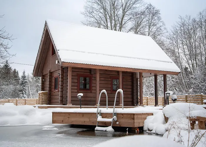 Jaeaegri Saunamaja Holiday home Parksi