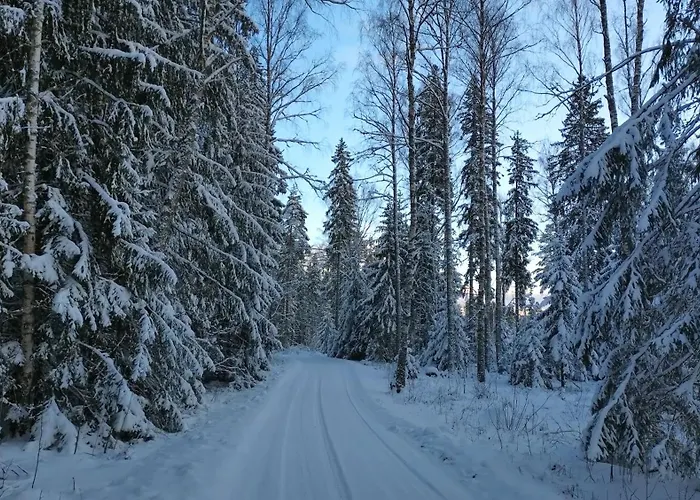 Holiday home Jaeaegri Saunamaja *